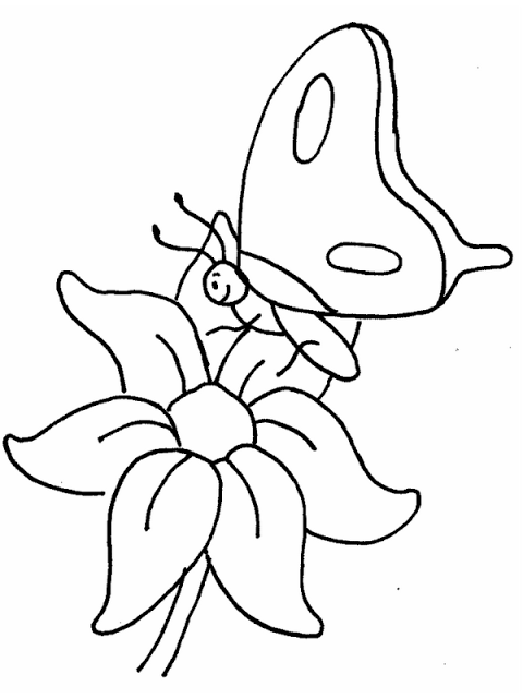 Imagens de Borboletas para Colorir e Moldes