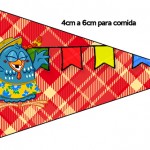 Bandeirinha Varalzinho Galinha Pintadinha na Festa Junina: