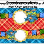 Saquinho de Balas Galinha Pintadinha na Festa Junina: