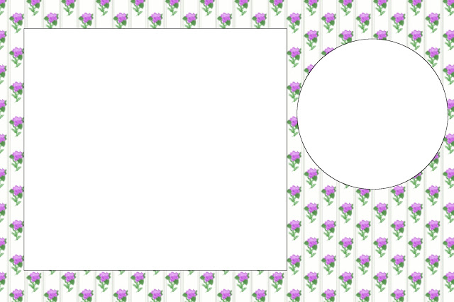 1+Convite145