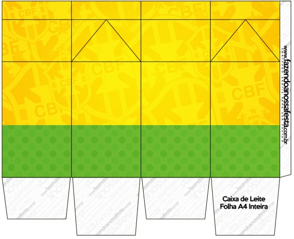 KIT FNF BRASIL COPA 811