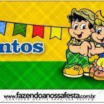 FNF Festa Junina BRASIL 70