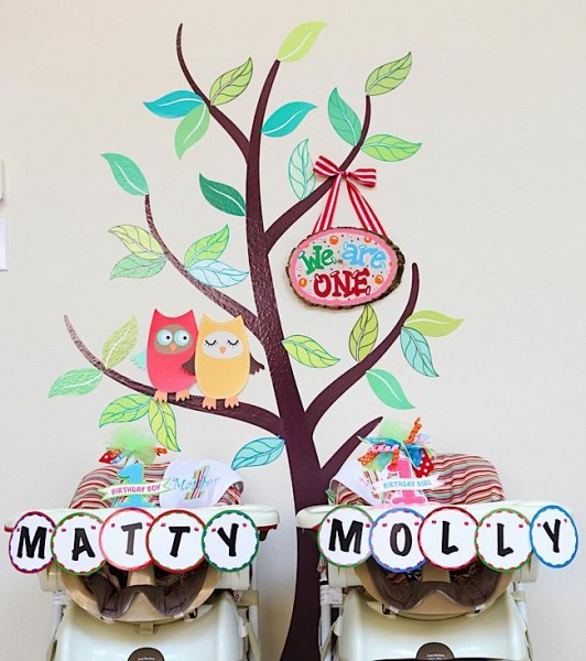 twin owl 1st first birthday party ideas cake decorations