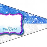 Frozen Branco e Azul 120