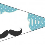 Bandeirinha Sanduiche 10 Chá de Bebê Mustache