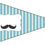 Bandeirinha Sanduiche 6 Chá de Bebê Mustache