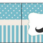 Bandeirinha Sanduiche Chá de Bebê Mustache 1