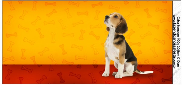 Caixa Bombom Cachorrinho Beagle