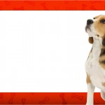Convite Cachorrinho Beagle 1