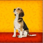 Mini Confeti Cachorrinho Beagle