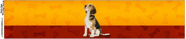 Rótulo Água Cachorrinho Beagle