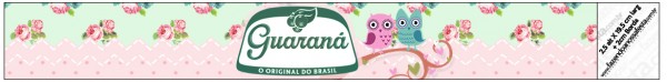 Rótulo Guaraná Caçulinha Corujinha Vintage Rosa e Verde