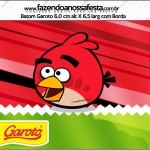 Kit Festa Digital Completo Angry Birds 2 25