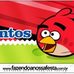 Kit Festa Digital Completo Angry Birds 2 28