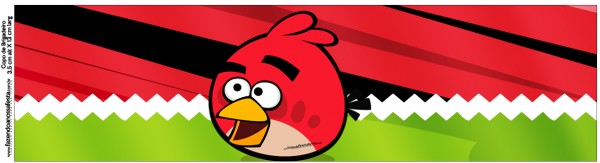 Kit Festa Digital Completo Angry Birds 2 46
