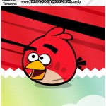 Kit Festa Digital Completo Angry Birds 2 53