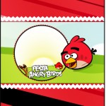 Kit Festa Digital Completo Angry Birds 3 09
