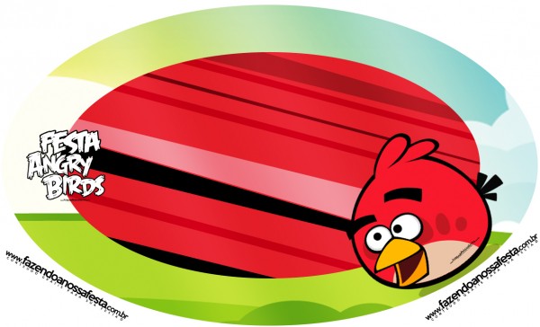 Kit Festa Digital Completo Angry Birds 3 13