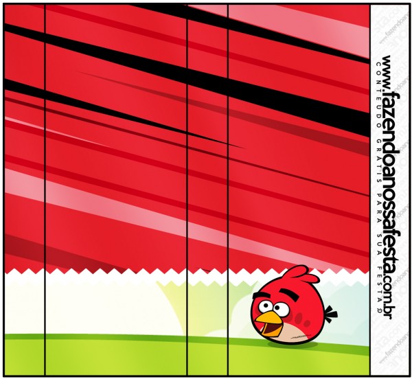 Kit Festa Digital Completo Angry Birds 3 28