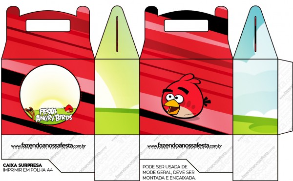 Kit Festa Digital Completo Angry Birds 3 35