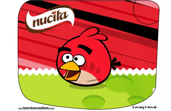 Kit Festa Digital Completo Angry Birds 4 104