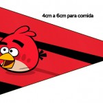 Kit Festa Digital Completo Angry Birds 4 15