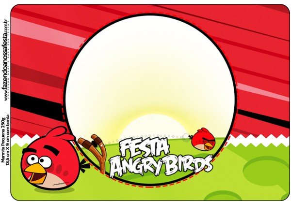 Kit Festa Digital Completo Angry Birds 4 47