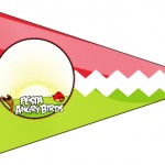 Kit Festa Digital Completo Angry Birds 4 89