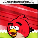 Kit Festa Digital Completo Angry Birds 20