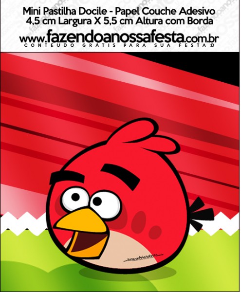 Kit Festa Digital Completo Angry Birds 20