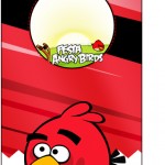 Kit Festa Digital Completo Angry Birds 21