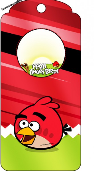 Kit Festa Digital Completo Angry Birds 21
