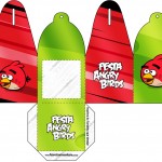 Kit Festa Digital Completo Angry Birds 23