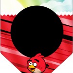 Kit Festa Digital Completo Angry Birds 56