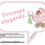 Plaquinhas Divertidas Chá de Bebê Menina 14