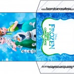 Envelope CD DVD Frozen Febre Congelante