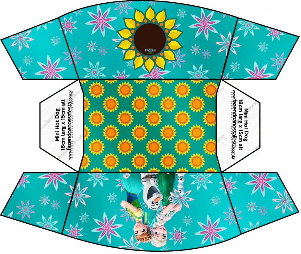 Caixa Frozen Fever 2 Fazendo a Nossa Festa