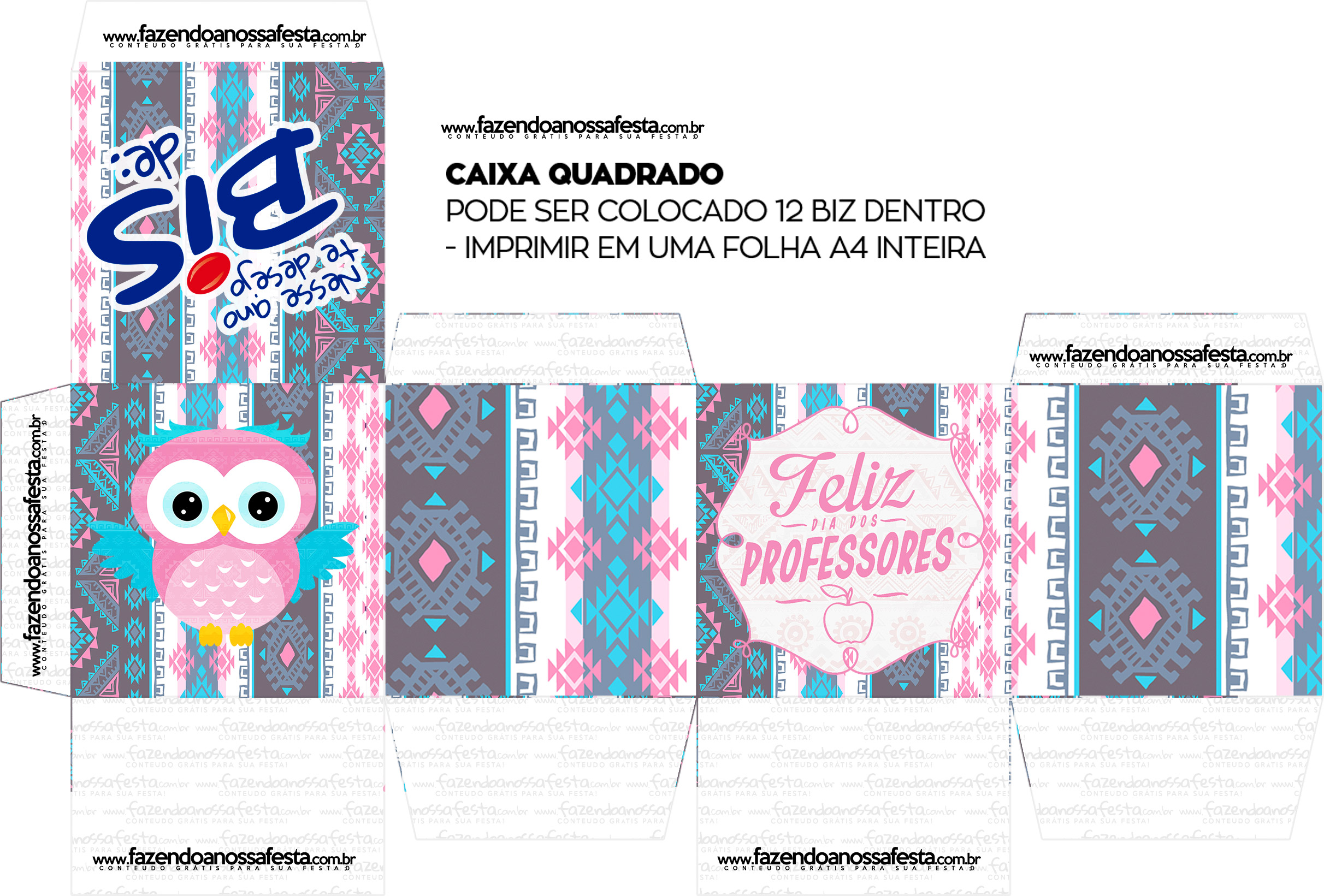 Caixa Bis Dia dos Professores Corujinha Rosa Quadrada Folha A4 - Fazendo a  Nossa Festa