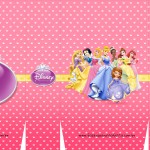 Sacolinhas Princesas Disney A3