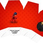 Caixa China in Box Miraculous Ladybug