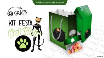 Kit Festa Miraculous Cat Noir Grátis Kit Festa Miraculous Cat Noir