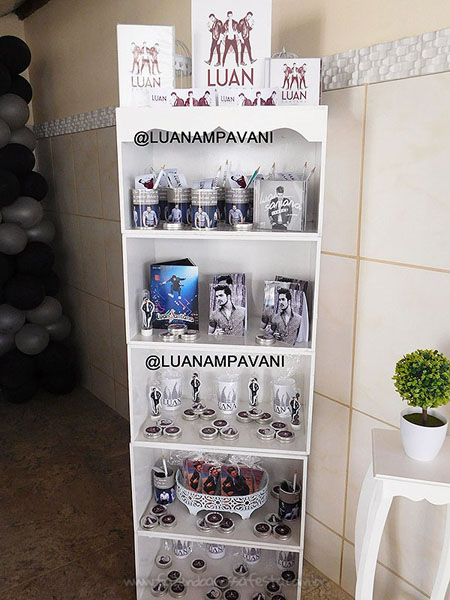 Festa Personalizada Luan Santana 4