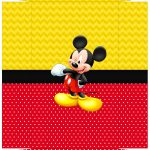 Caixa Ovo de Colher Mickey 01