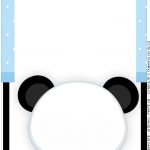 Passaporte Interno Panda Azul Menino