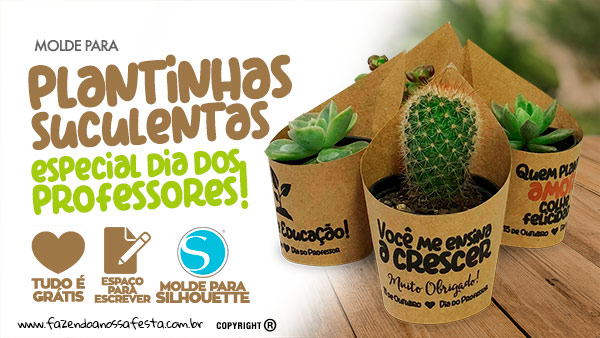 Oferta de mini plantas - O agradecimento perfeito 