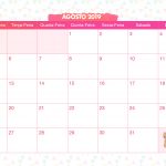 Calendario Mensal Lhama Rosa Agosto 2019