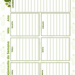 Caderno de Planejamento para Professores Planejamento da Semana Cactos