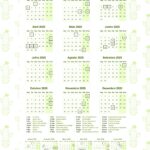 Calendario 2025 Cactos