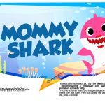 Plaquinhas Baby Shark 39