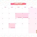 Calendario Mensal Lhama Rosa Junho 2020